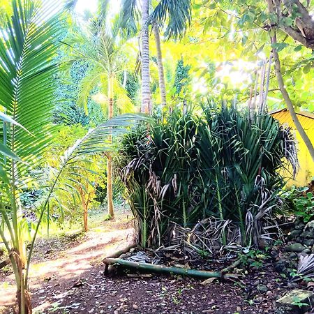 La Familia Guest House And Natural Farm Port Antonio Luaran gambar