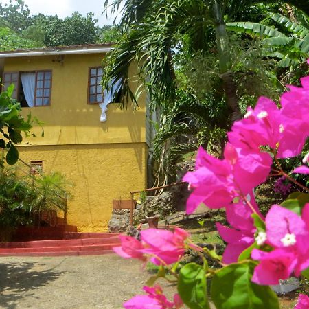 La Familia Guest House And Natural Farm Port Antonio Luaran gambar