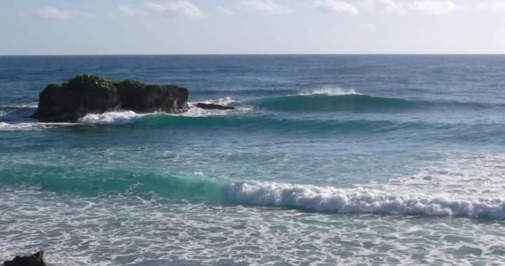 La Familia Guest House And Natural Farm Port Antonio Luaran gambar