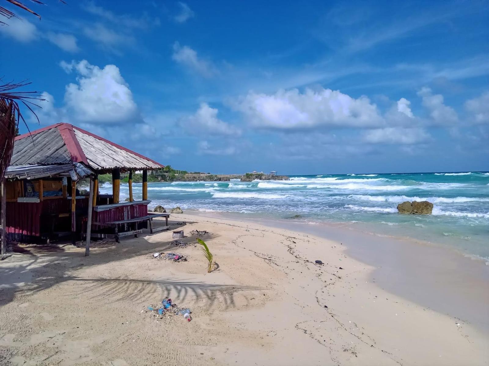 La Familia Guest House And Natural Farm Port Antonio Luaran gambar