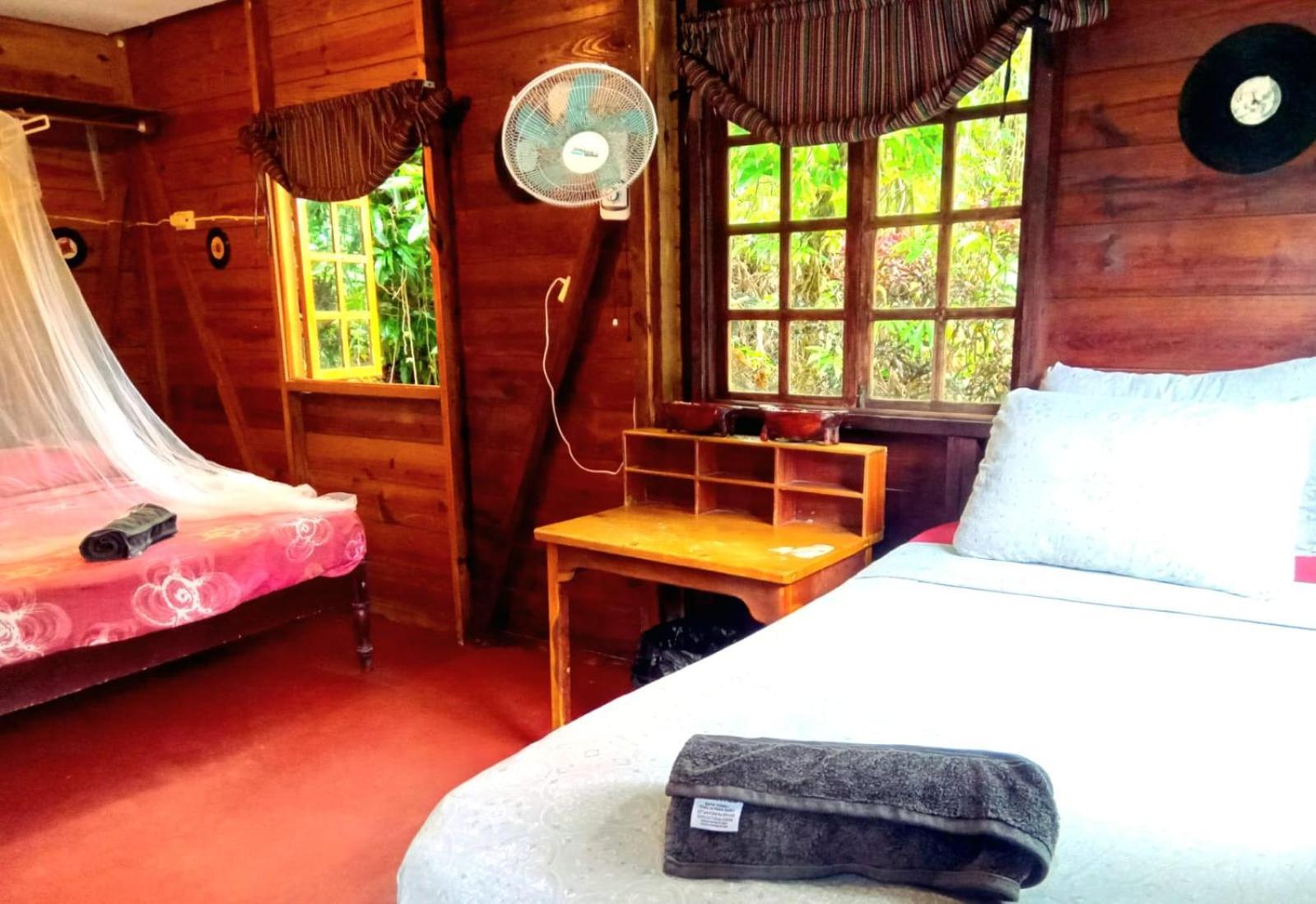 La Familia Guest House And Natural Farm Port Antonio Luaran gambar