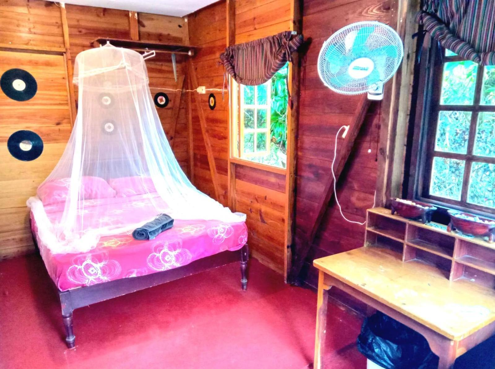 La Familia Guest House And Natural Farm Port Antonio Luaran gambar