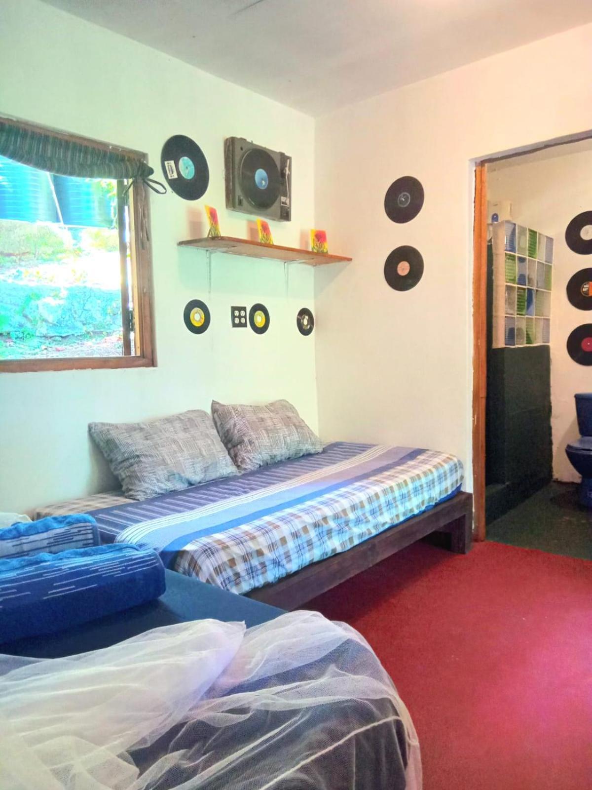 La Familia Guest House And Natural Farm Port Antonio Luaran gambar