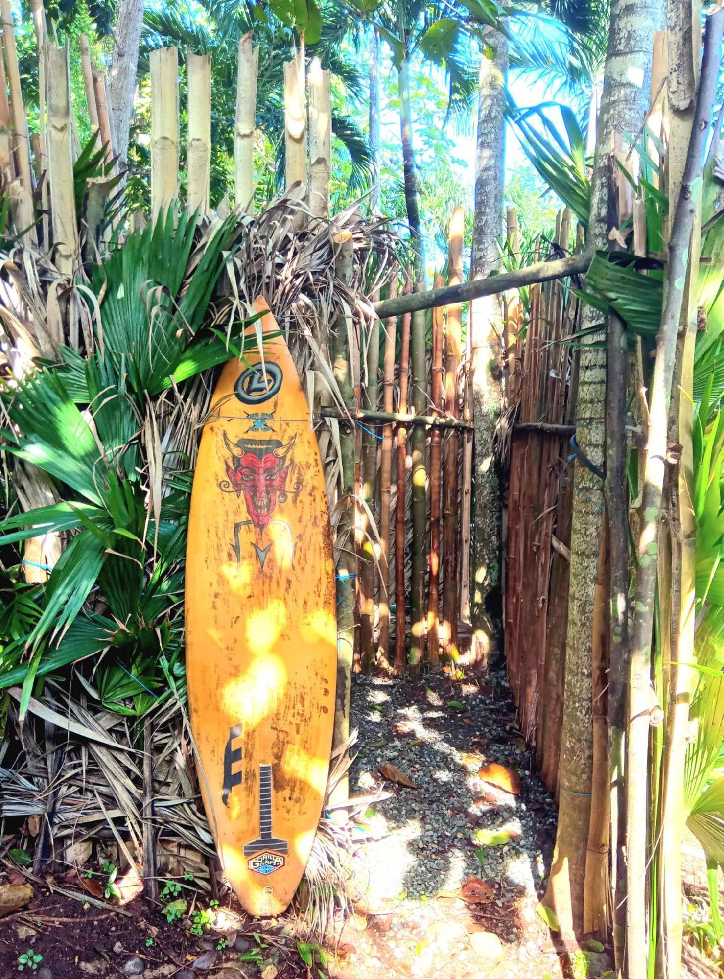 La Familia Guest House And Natural Farm Port Antonio Luaran gambar