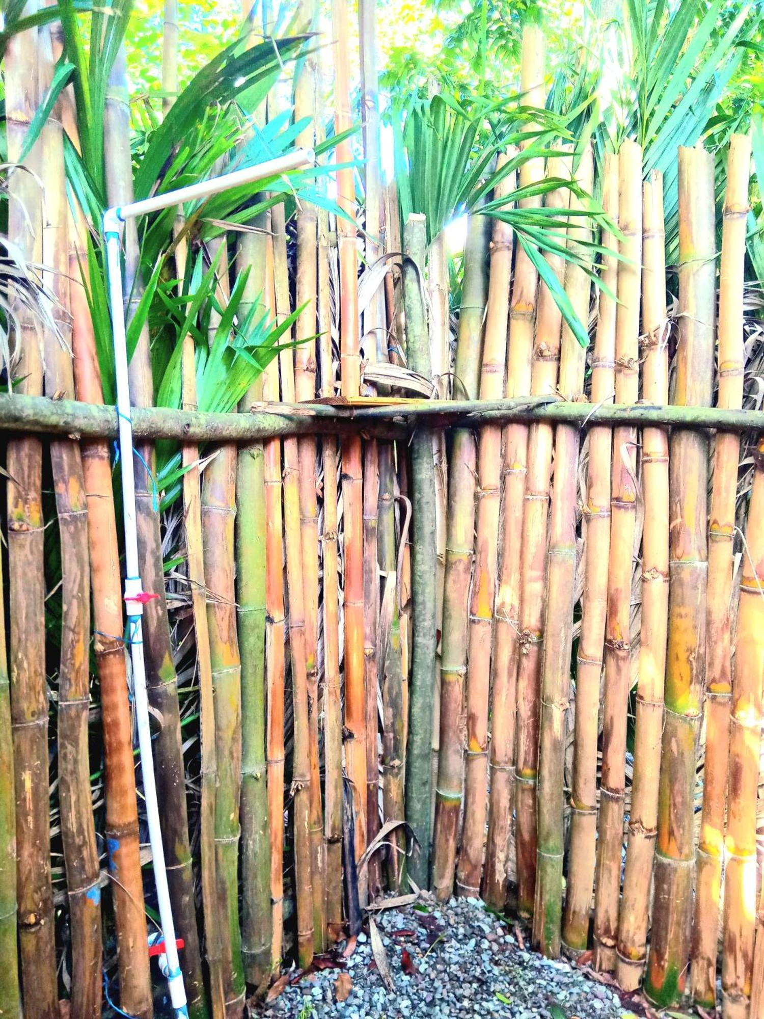 La Familia Guest House And Natural Farm Port Antonio Luaran gambar