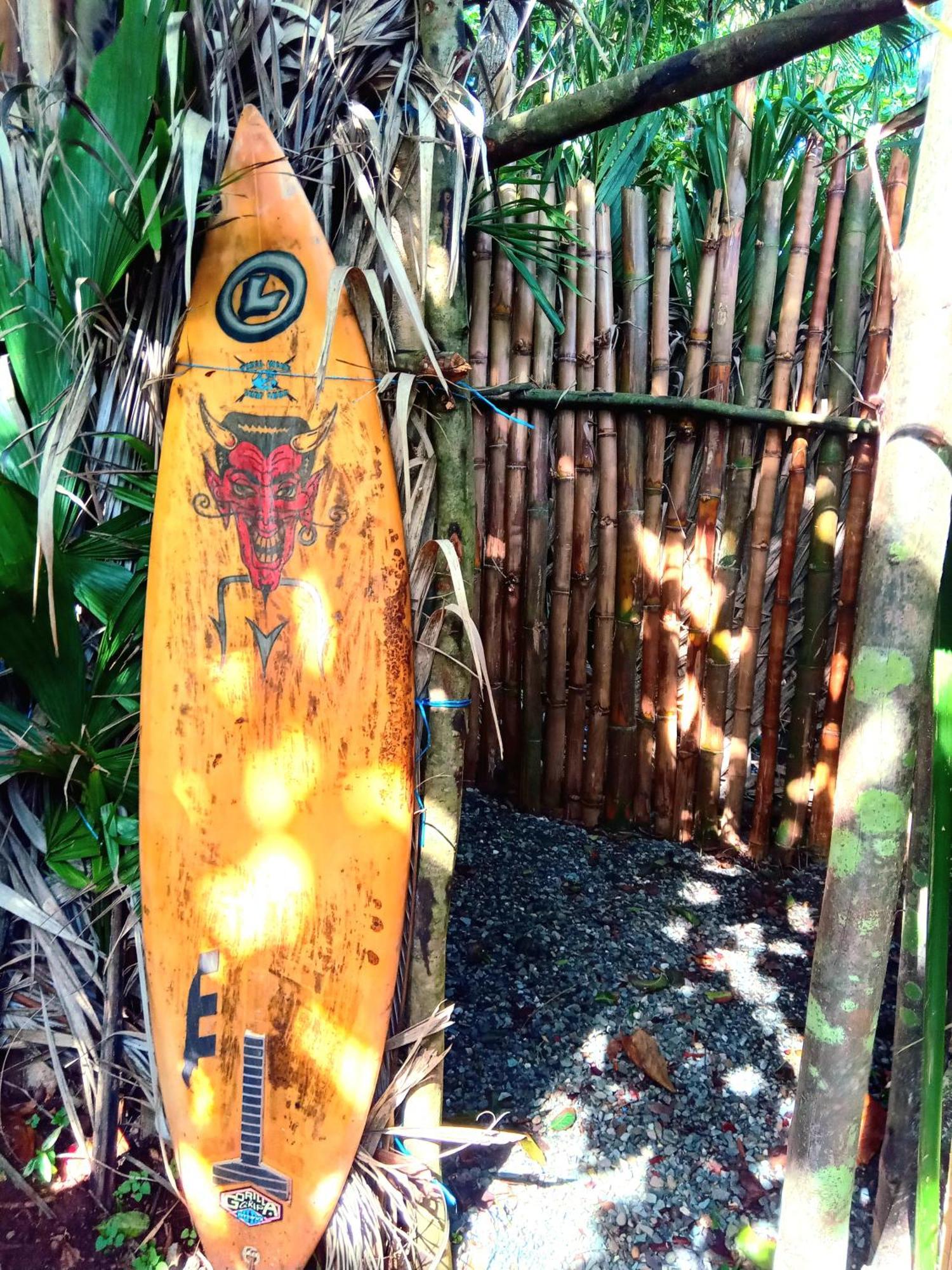 La Familia Guest House And Natural Farm Port Antonio Luaran gambar