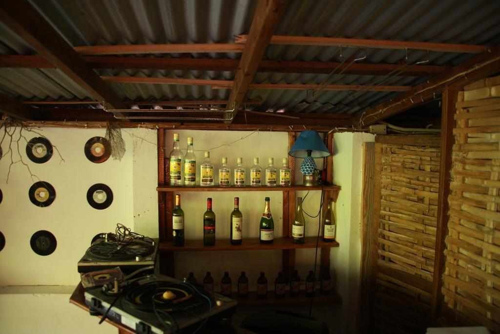 La Familia Guest House And Natural Farm Port Antonio Luaran gambar
