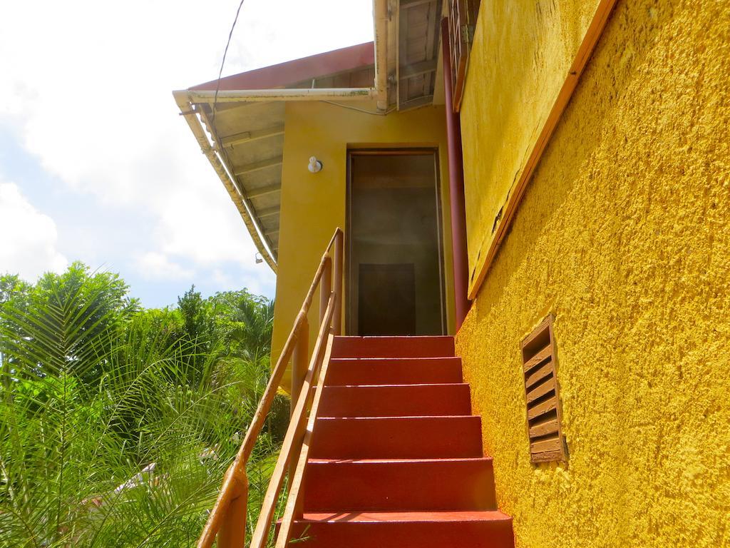 La Familia Guest House And Natural Farm Port Antonio Luaran gambar