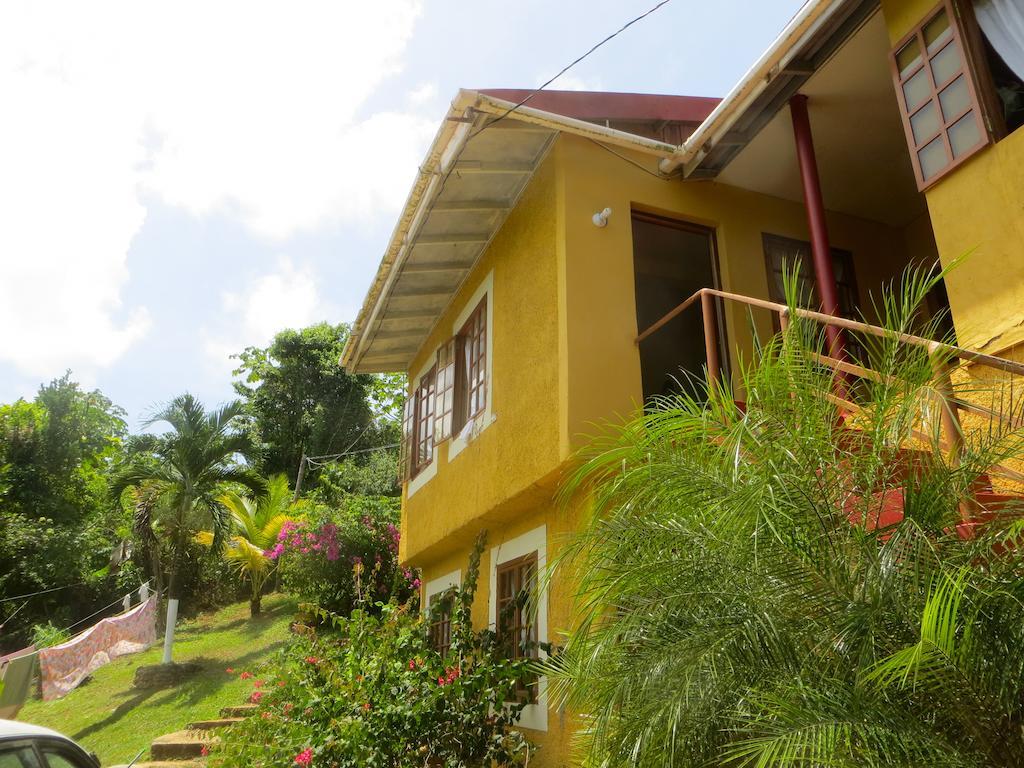 La Familia Guest House And Natural Farm Port Antonio Luaran gambar