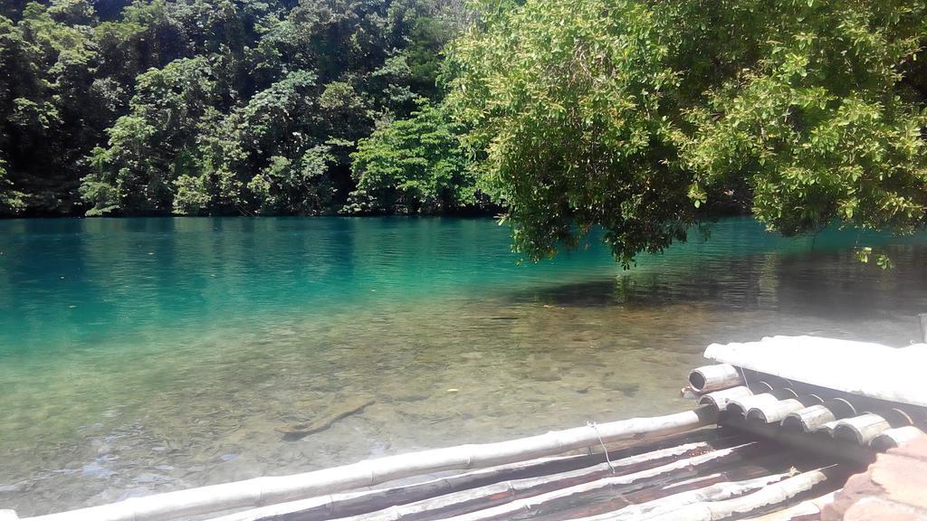 La Familia Guest House And Natural Farm Port Antonio Luaran gambar