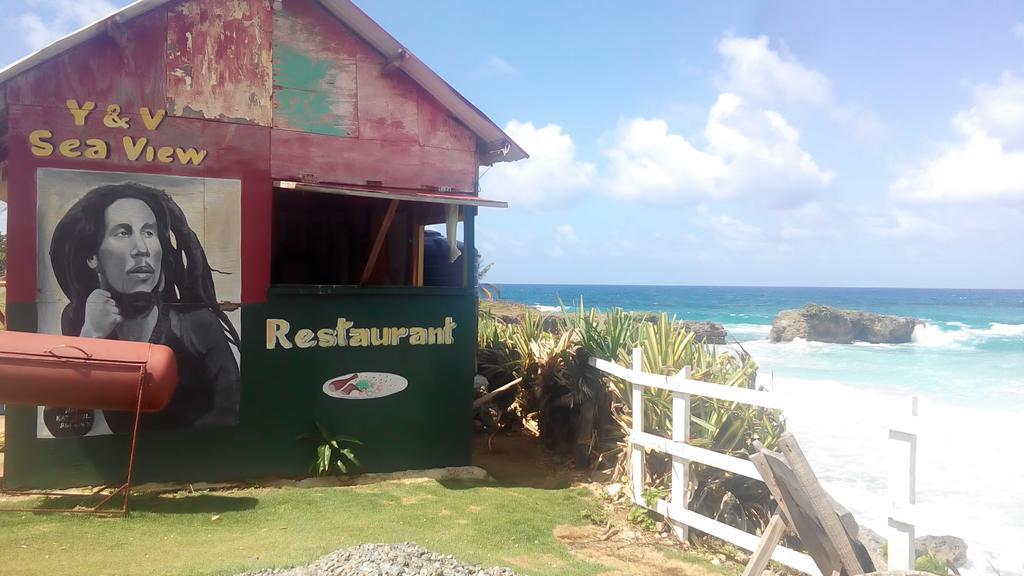 La Familia Guest House And Natural Farm Port Antonio Luaran gambar