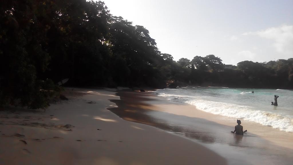 La Familia Guest House And Natural Farm Port Antonio Luaran gambar