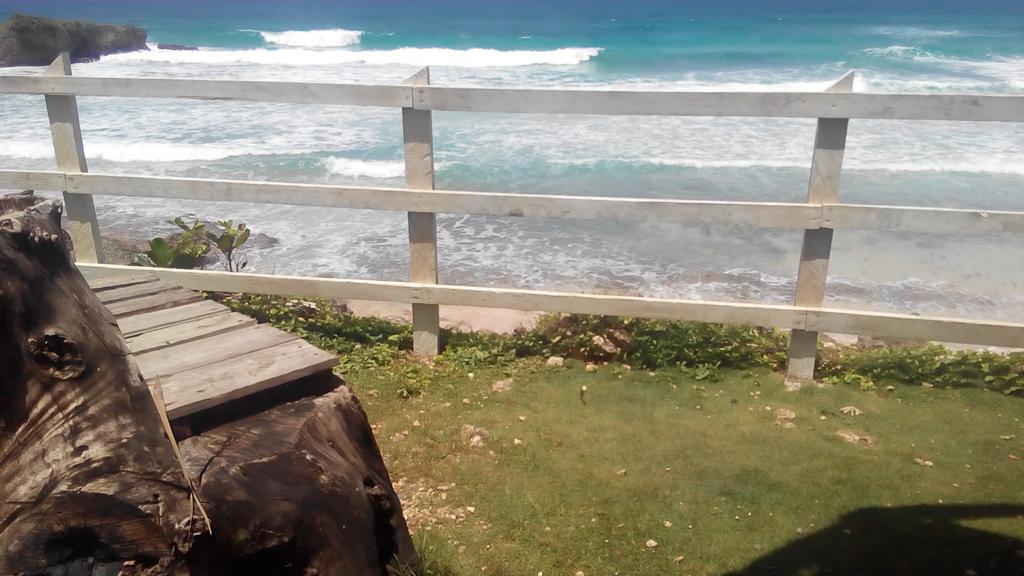 La Familia Guest House And Natural Farm Port Antonio Luaran gambar