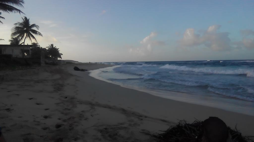 La Familia Guest House And Natural Farm Port Antonio Luaran gambar