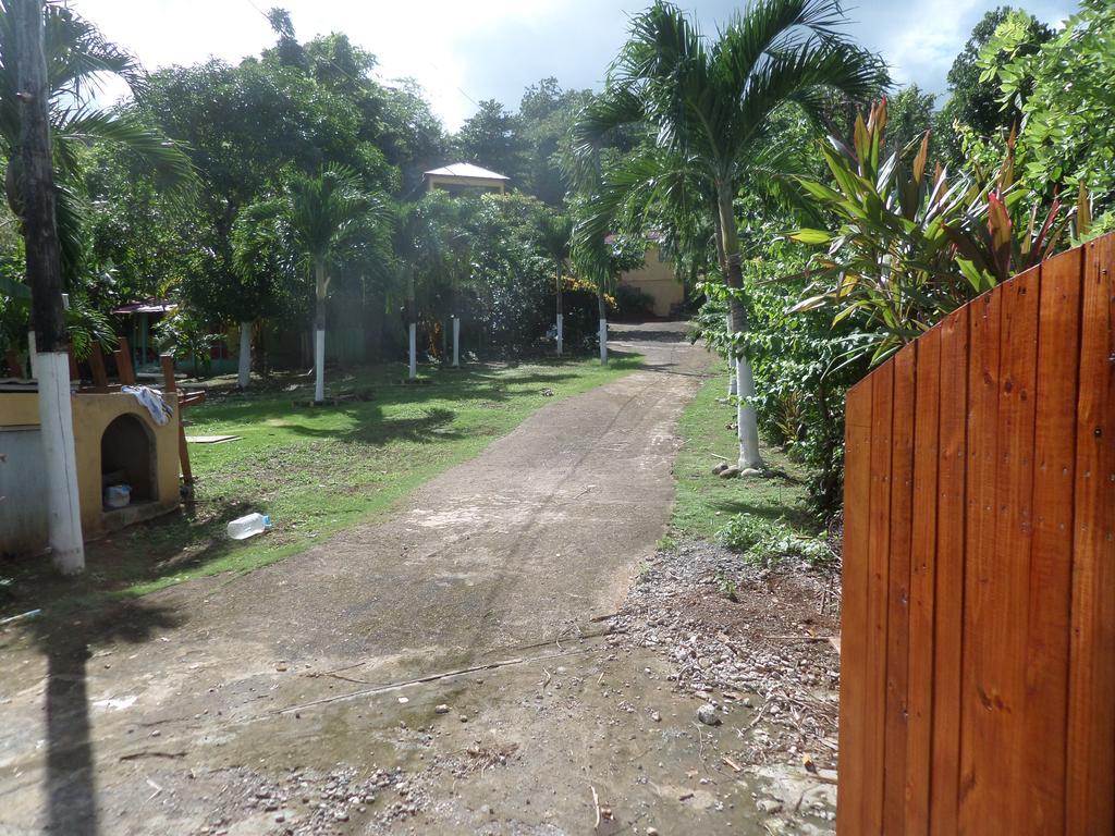 La Familia Guest House And Natural Farm Port Antonio Luaran gambar