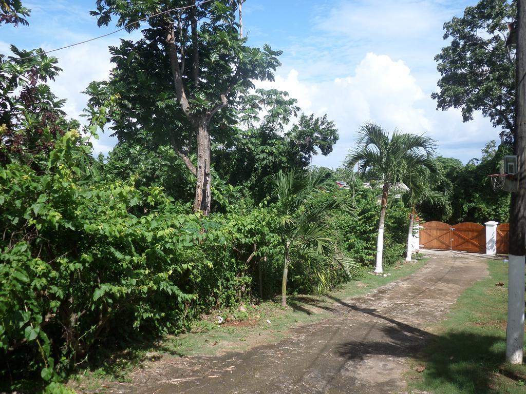 La Familia Guest House And Natural Farm Port Antonio Luaran gambar