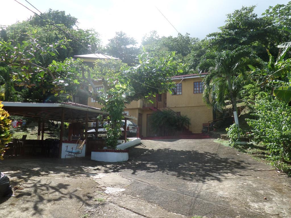 La Familia Guest House And Natural Farm Port Antonio Luaran gambar