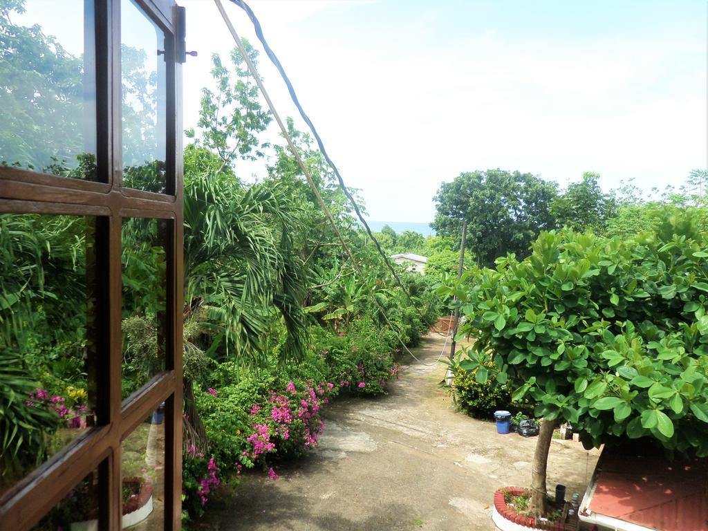 La Familia Guest House And Natural Farm Port Antonio Luaran gambar