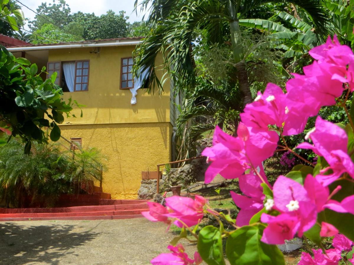 La Familia Guest House And Natural Farm Port Antonio Luaran gambar